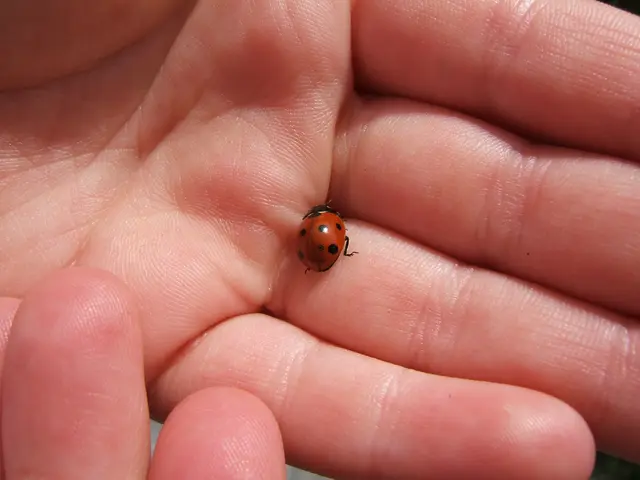 Genetic Factor Behind Left-Handedness: Possible Inherited Benefits Over Right-Handedness?