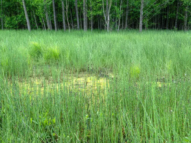 Generous Boost: Every Donation Gets a Match