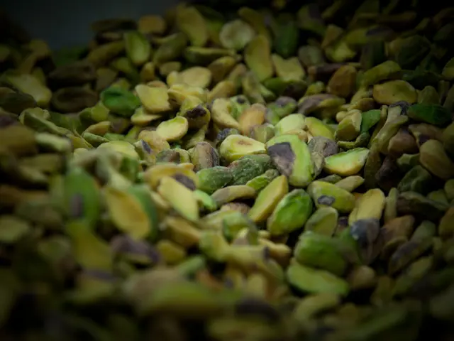 Nutty Delights: Wonderful Pistachios Emphasizes Protein's Strength at Indian Healthy Snacking Event...