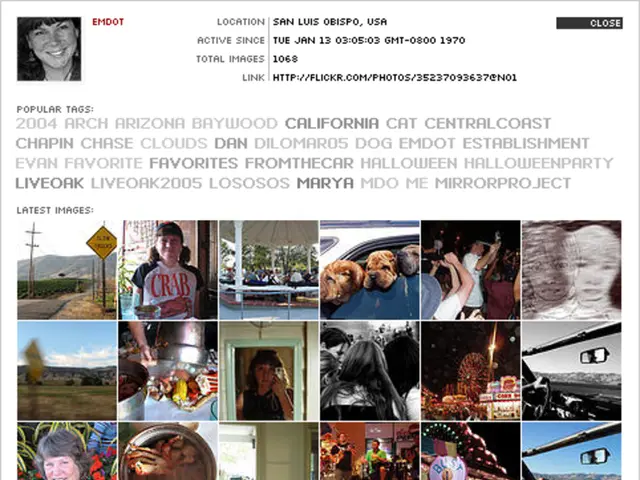 Human Memory's Properties and Significance in Data Visualization