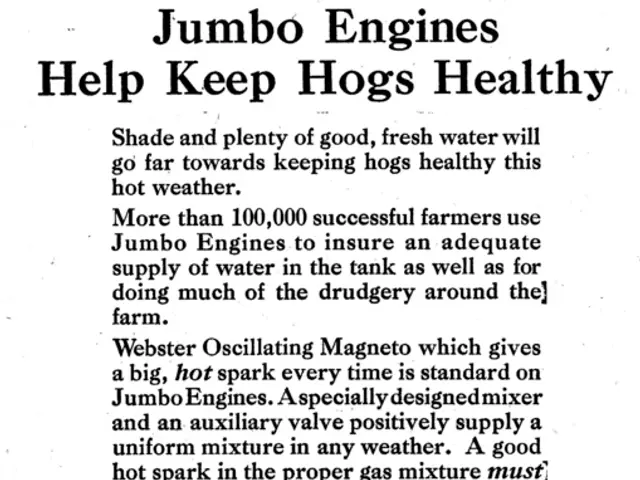 FibroSIGHTTM Plus Unveiled by HistoIndex, a Novel Solution for Fibrosis Assessment