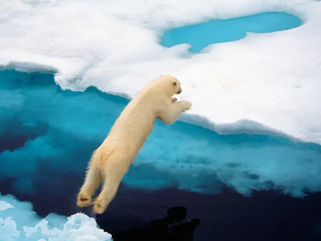 Polar Bear-Inspired Fiber Amazingly Holds and Retains Heat, Equaling Down Feathers' Insulation...