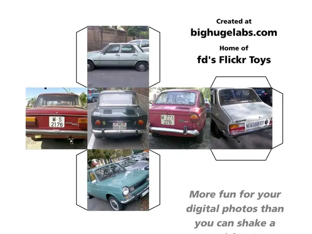 Navigating roadways with Multiple Sclerosis: What limitations apply?