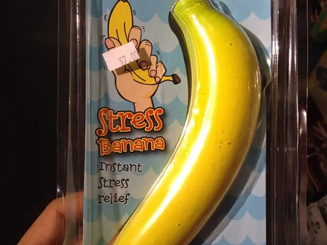 Long-Term Stress Impact on Brain Functionality and Memory Retention