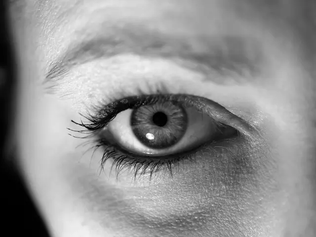 The European Commission introduces a fresh endeavor aimed at enhancing the visual wellness of...