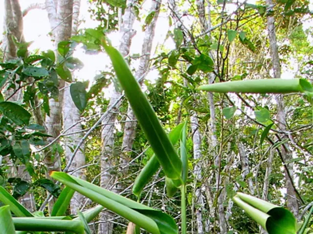 Unhealthy Impact of Vibrant Green Yards on Our Wellbeing