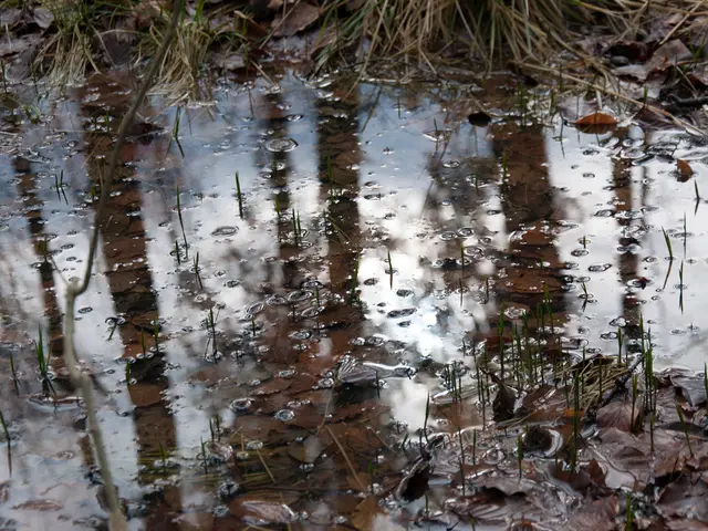 Delay in the Sanitization of Burbach's Drinking Water Infrastructure