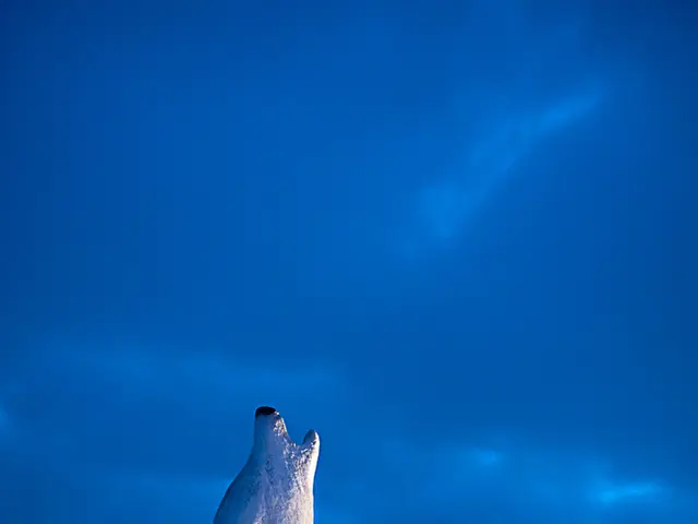 COVID-19 pandemics predicted to be rare occurrences