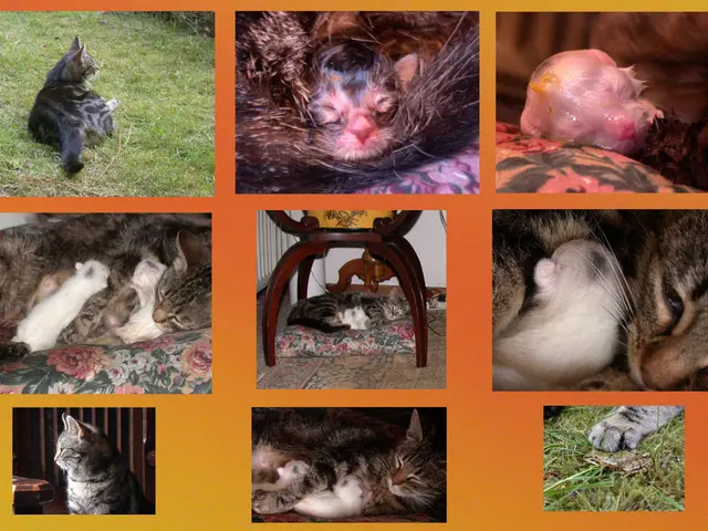 Uncovering 20 Innovative Approaches Where Animal Research is Aiding Human Disease Breakthroughs