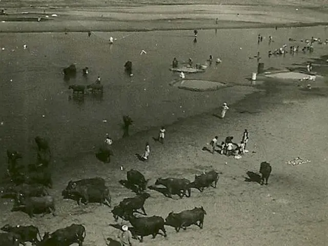 Animal welfare organization in Okanagan reports pet population at an all-time high, posing...