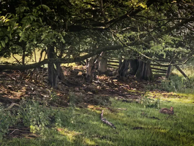 Threatening Procedure: Correctly Extracting a Giant Bear's Esophagus