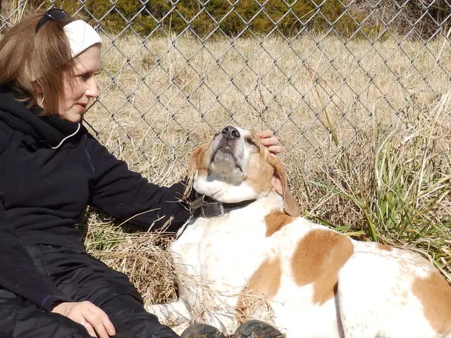 Woman encounters severe allergic reaction due to hornet sting