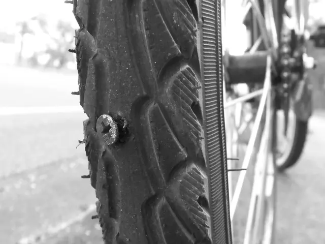 Strategies for Coping with the Adverse Effects of Treating Endometrial Cancer