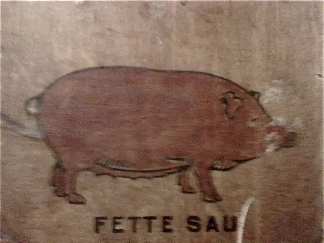 Pig Kidney Transplant Rescues Life and FDA Believes it Could Save Thousands More in Future