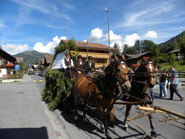 Stricken carriage horse 'Lady' succumbs to demise in Hell's Kitchen according to authorities.