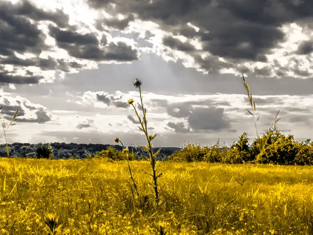 Darkness under threat: Astronomers unveil strategies to safeguard Earth's darkest skies from light...