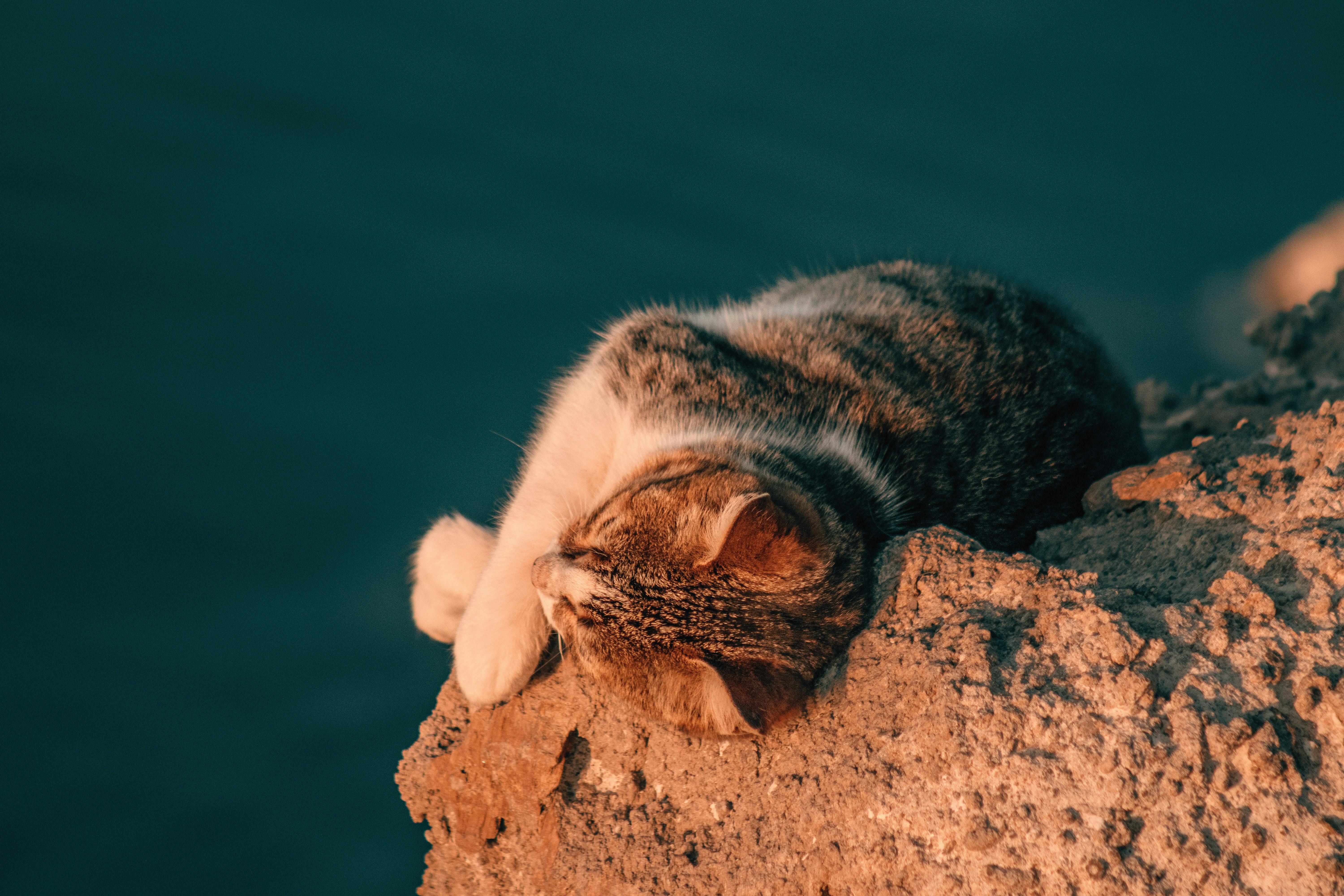 Getty Images photograph by Tatiana Maksimova: Unvarnished Insight