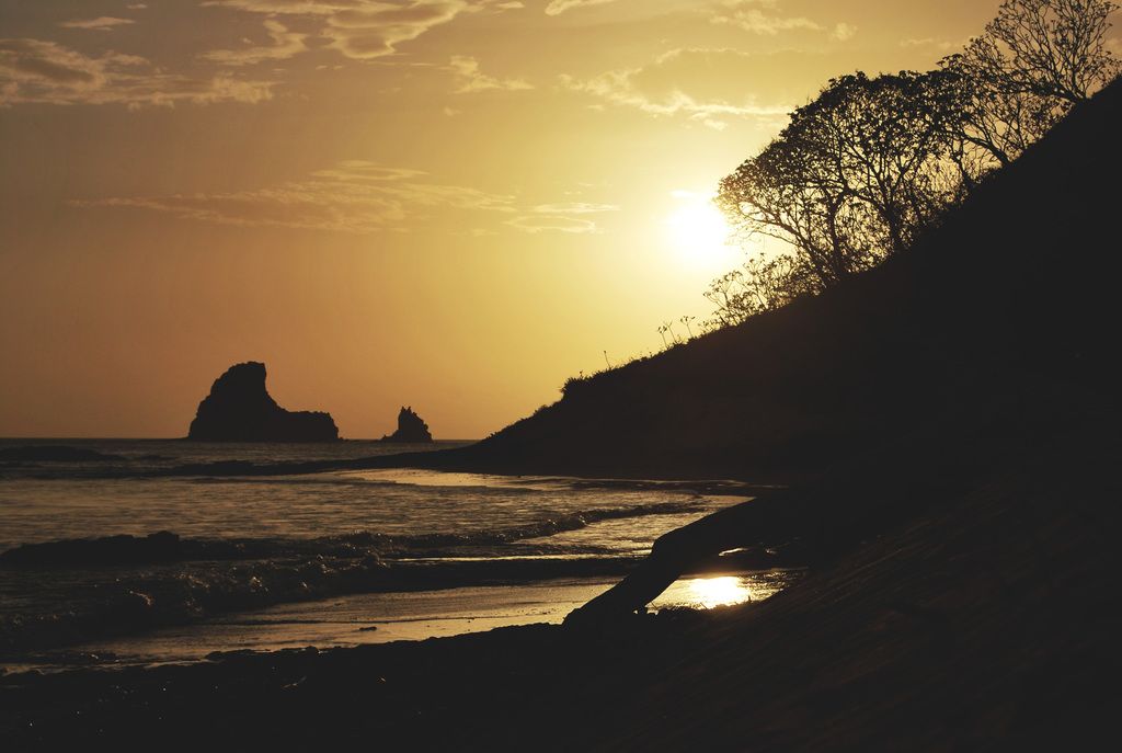 Interpret the Significance of Dreams Involving Unfamiliar Journeys by Car: Are These Indications of...