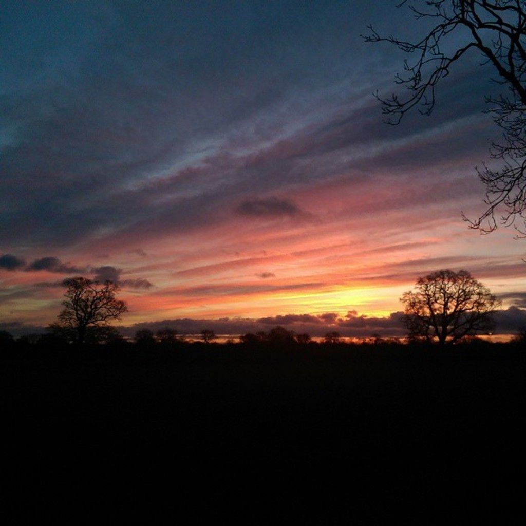 Offered potential, more nutritious options.